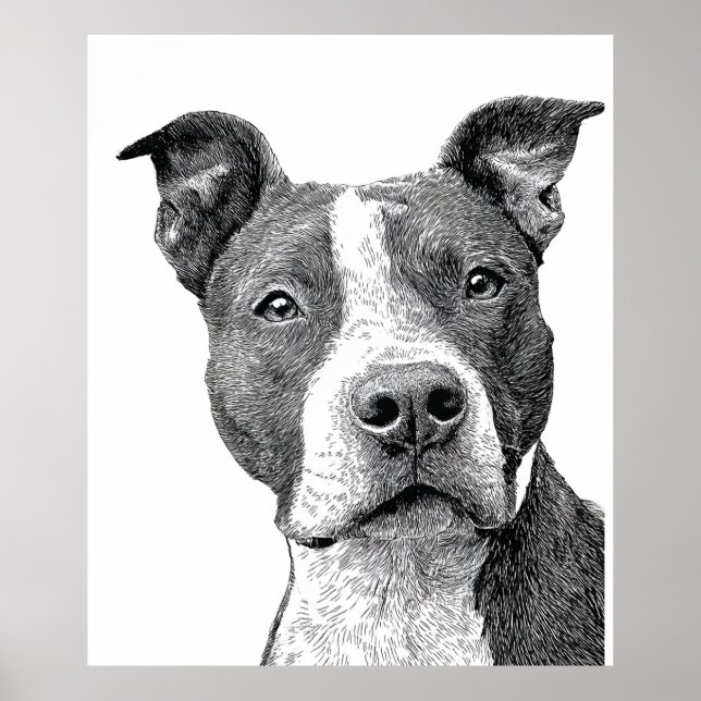 Minimalistisk Pitbull Siluett Svart och Vitt Poster (Framsidan)