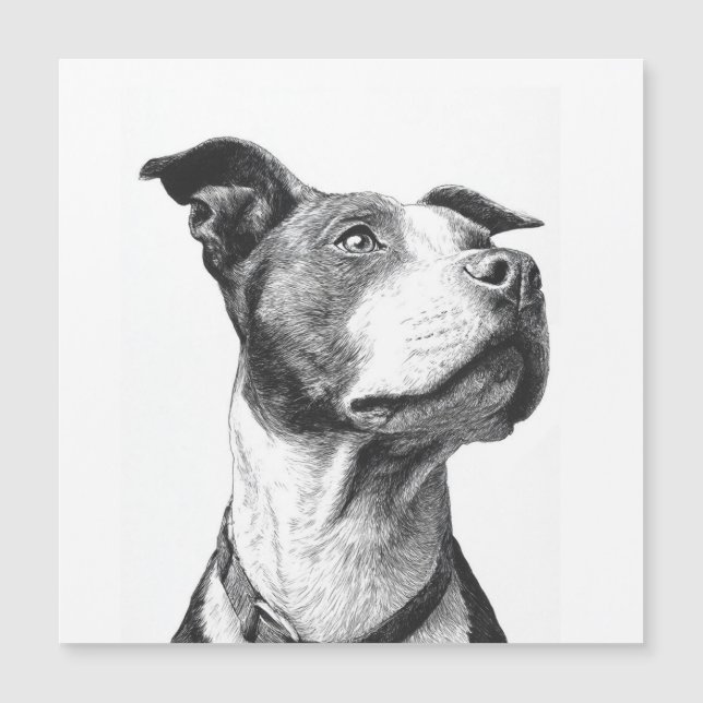Minimalistisk Pitbull Svart och Vitt Konst (Framsida)