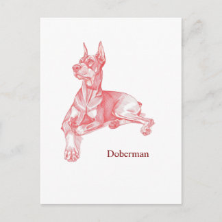 Minimalistisk röd penna Dobermann skiss Vykort