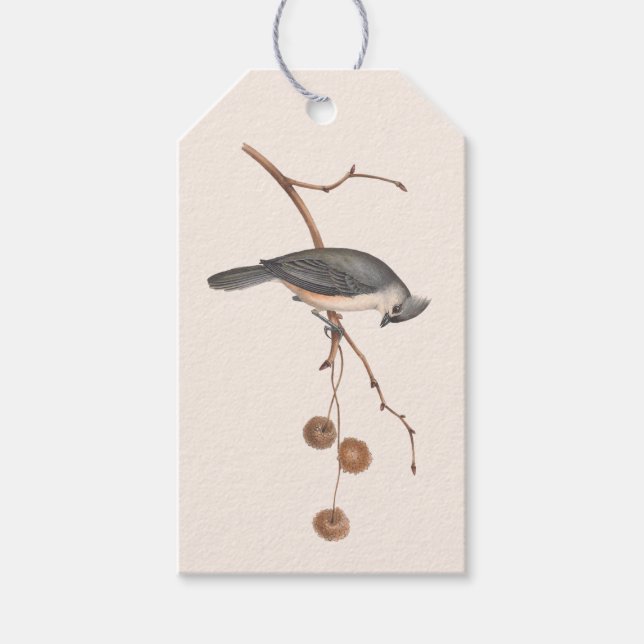 Minimalistisk Rosa och Grått Bird Winter Gift Märk Presentetikett (Framsidan)