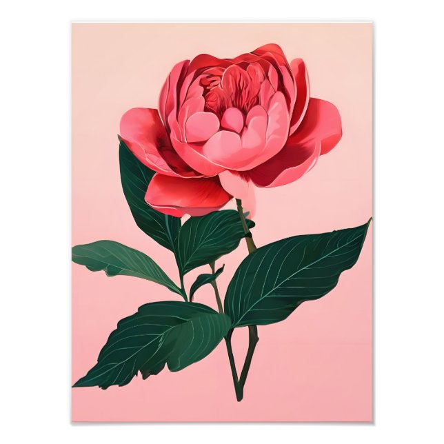 Minimalistisk Rosa ros-konturutskrift Fototryck (Framsidan)