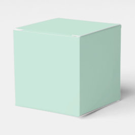Minimalistisk seafoam mint grönt solid modern chic presentaskar