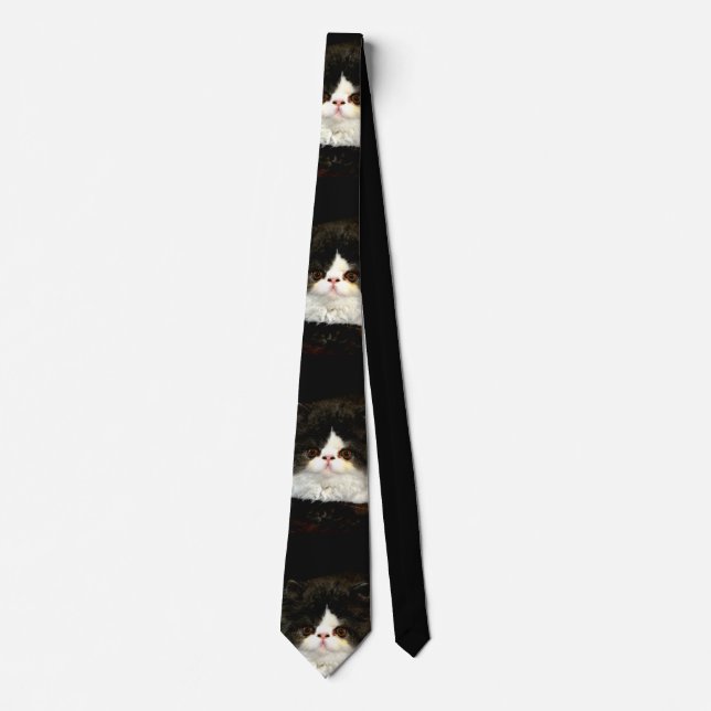Minimalistisk svart vit katt slips (Framsida)