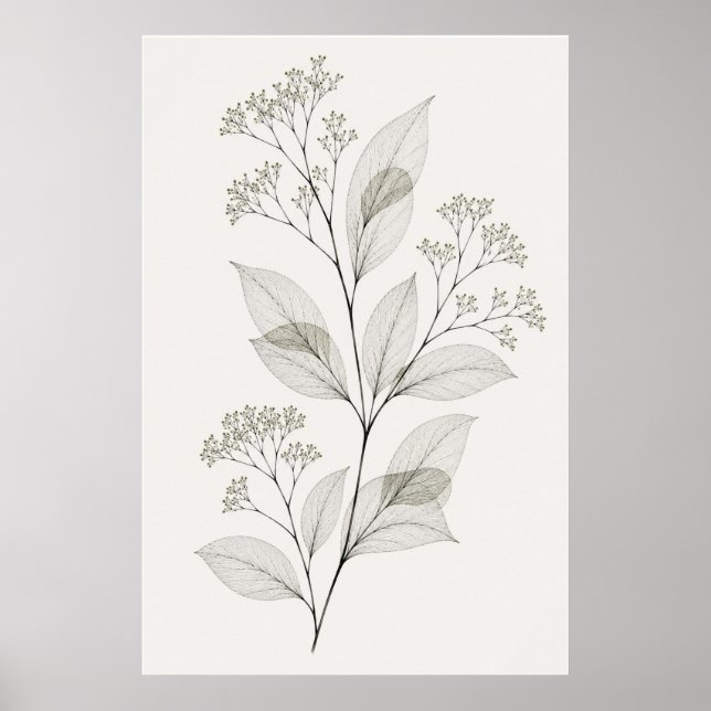 Minimalistisk vardagsrums botaniska åderillustrati poster (Framsidan)