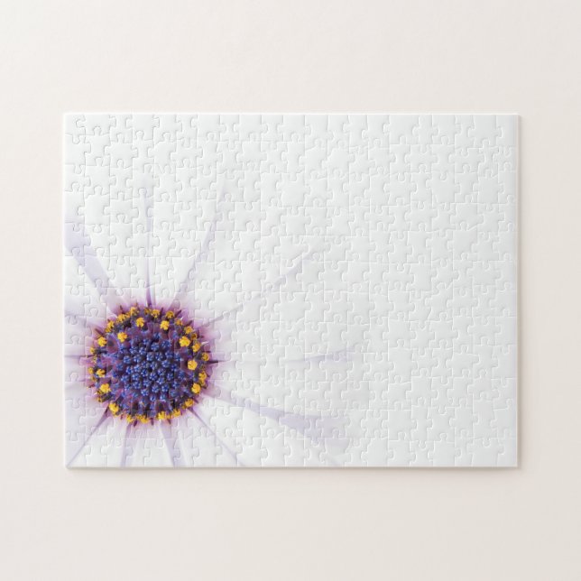 Minimalistisk vit Daisy blomma på vit bakgrund Pussel (Horisontell)