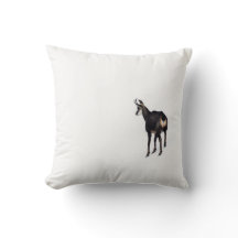 Minimalistiskt alpina Chamois-bergsget på snö