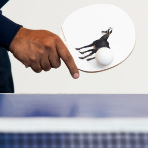 Minimalistiskt alpina Chamois-bergsget på snö Pingisracket
