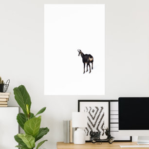 Minimalistiskt alpina Chamois-bergsget på snö Poster