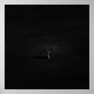 Minimalistiskt ensamt träd i svartvitt poster
