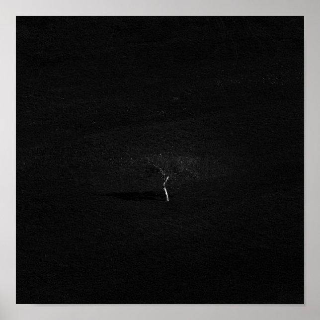 Minimalistiskt ensamt träd i svartvitt poster (Framsidan)