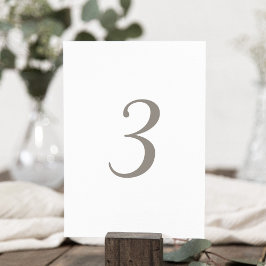 Minimalistiskt Grått Färg Bordsnummer 3