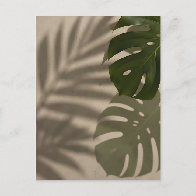 Minimalistiskt grönt Monstera-blad Tropisk skugga Vykort (Framsida)