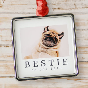 Minimalistiskt Modern Chic Pet Bestie BFF-foto Julgransprydnad Metall