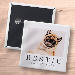 Minimalistiskt Modern Chic Pet Bestie BFF-foto Knapp