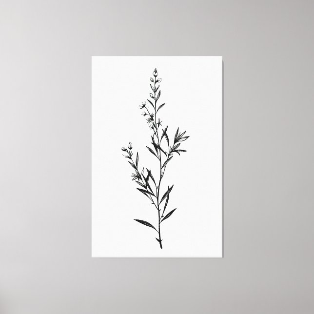 Minimalistiskt monokromt Rosemary Sprig Sketch Canvastryck (Framsida)