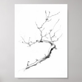 Minimalistiskt ömtåligt Träd Gren Poster