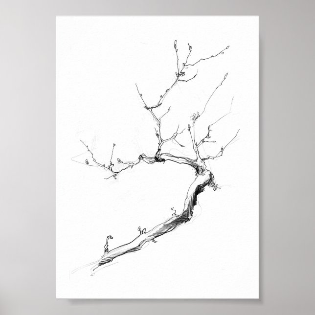 Minimalistiskt ömtåligt Träd Gren Poster (Framsidan)
