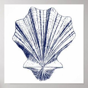Minimalistiskt Scallop Seashell i Blue Poster