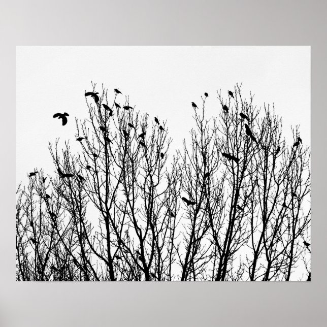 Minimalistiskt svart och vitt foto av fåglar i Trä Poster (Framsidan)