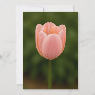 Minimalistiskt tackkort med en blomma tack kort
