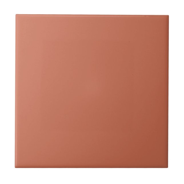 Minimalistiskt terracotta Plain Solid Färg Tile Kakelplatta (Framsidan)