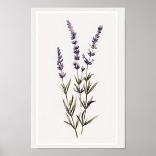Minimalistiskt vattenfärgsfilter för lavender poster
