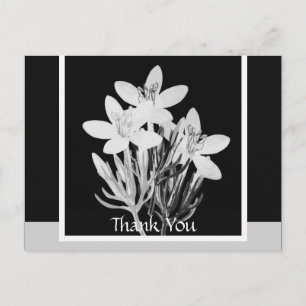 Minimalistkort för svartvit Blommigt Vykort