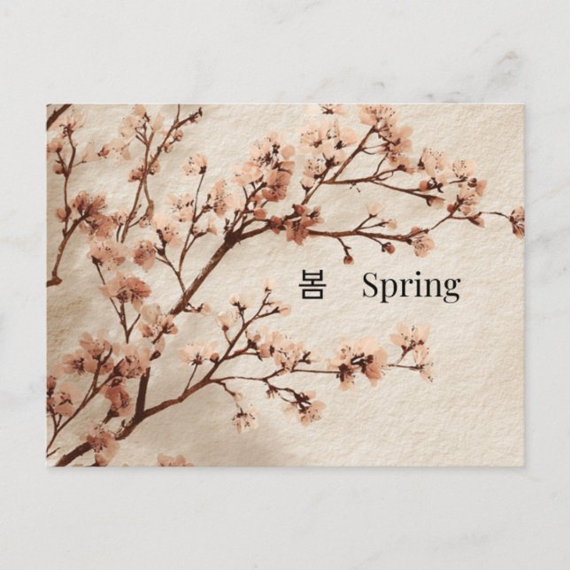 Minimalt körsbärsblomster vår postkort vykort (Framsida)