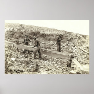 MINING C I GULD I SLAKTKROPPEN. 1889 POSTER