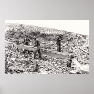 MINING C I GULD I SLAKTKROPPEN. 1889 POSTER