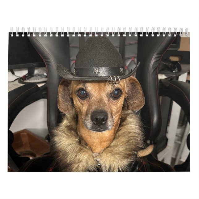 Minions World Kalender (Omslag)