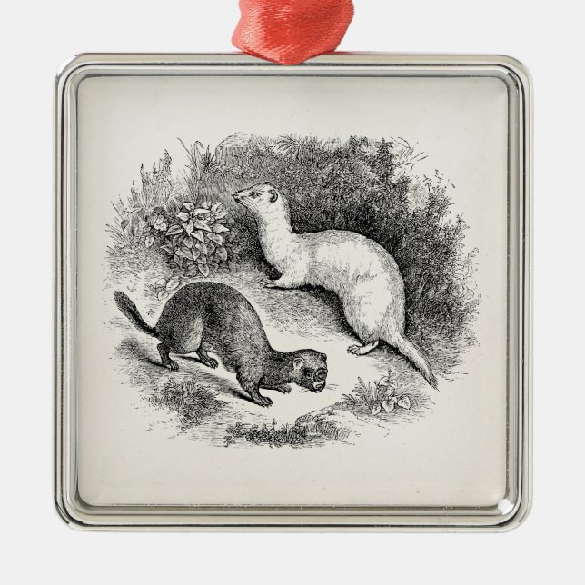 Minks för vesslor för vesslor för julgransprydnad metall (Framsidan)