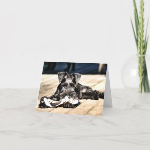 MinMeeting Schnauzer Note Card #2 - tomt Kort