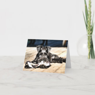 MinMeeting Schnauzer Note Card #2 - tomt Kort