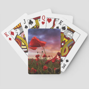 Minnas det fält av vallmor casinokort