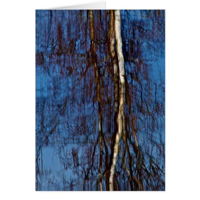 Minnas Monet OBS Kort (Framsidan)