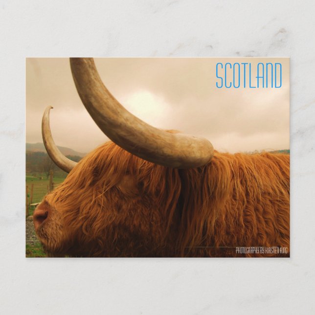 minne 2 216, SCOTLAND, fotografi av Kirsten ... Vykort (Framsida)