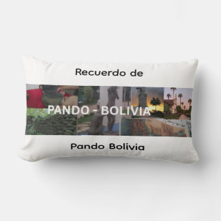 Minne från Pando Bolivia Lumbarkudde