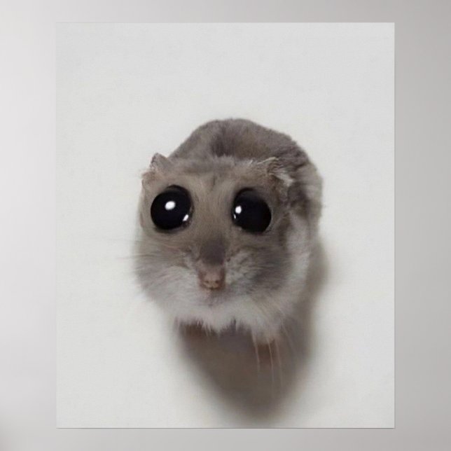 minne, hamster, hamstermemma, ledsen hamster, roli poster (Framsidan)
