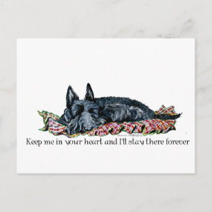Minne i Scottish Terrier Vykort