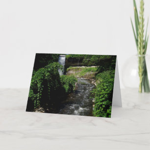 "Minnehaha Falls #4" - tackkort Kort