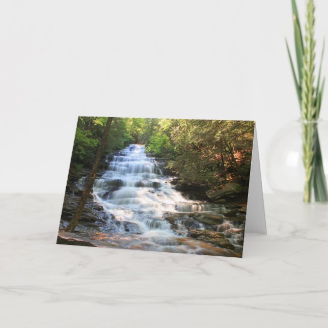 Minnehaha Kort (Framsida)