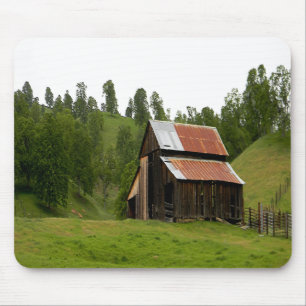 Minnen... Musmatta
