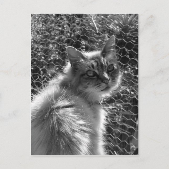 Minnen Vykort (Framsida)