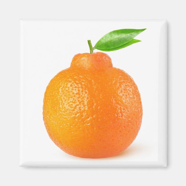 Minneola tangelo citrus magnet (Framsidan)