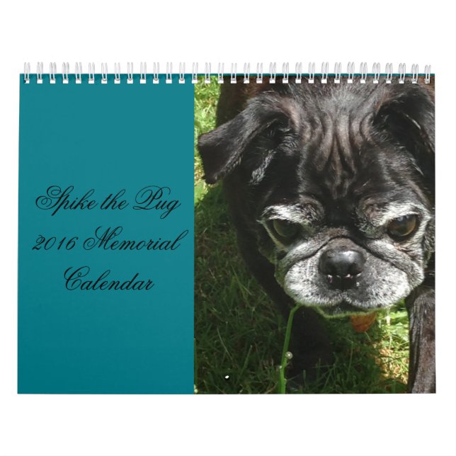 Minnes- kalender (Omslag)