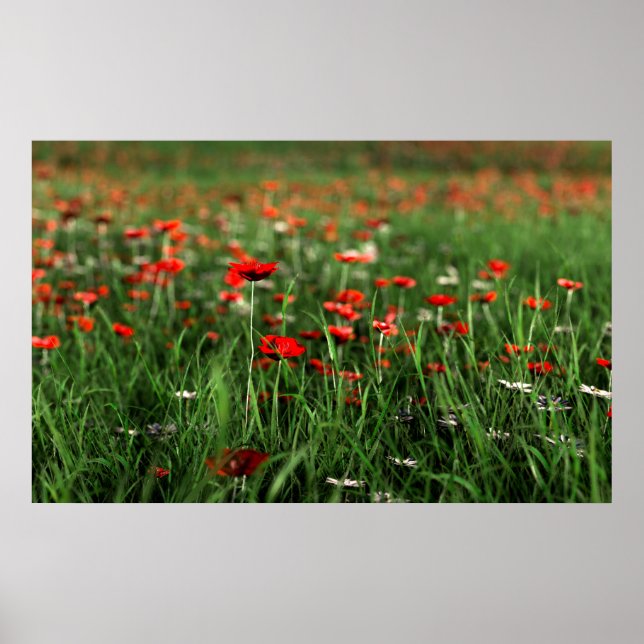 Minnesdag (minnesdag) poster (Framsidan)