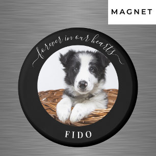 Minnesfärgat foto kärlek alltid hund matarmagnet magnet