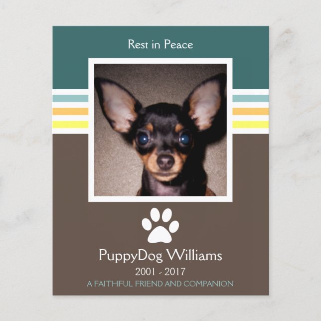 minneskort för husdjur som dött (Framsida)