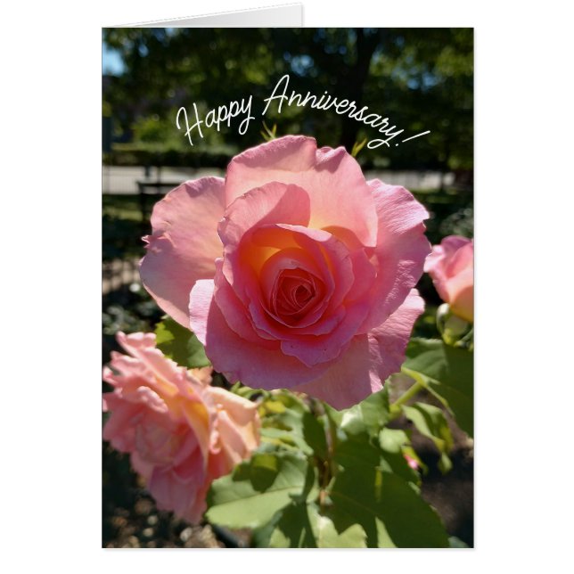 Minneskort för Radiant Rosa Tea Ro Hälsningskort (Framsidan)